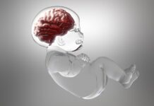 Bright young things parent waves: Bright young things